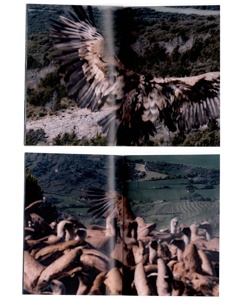 WANF Fanzine Issue 3 Vultures