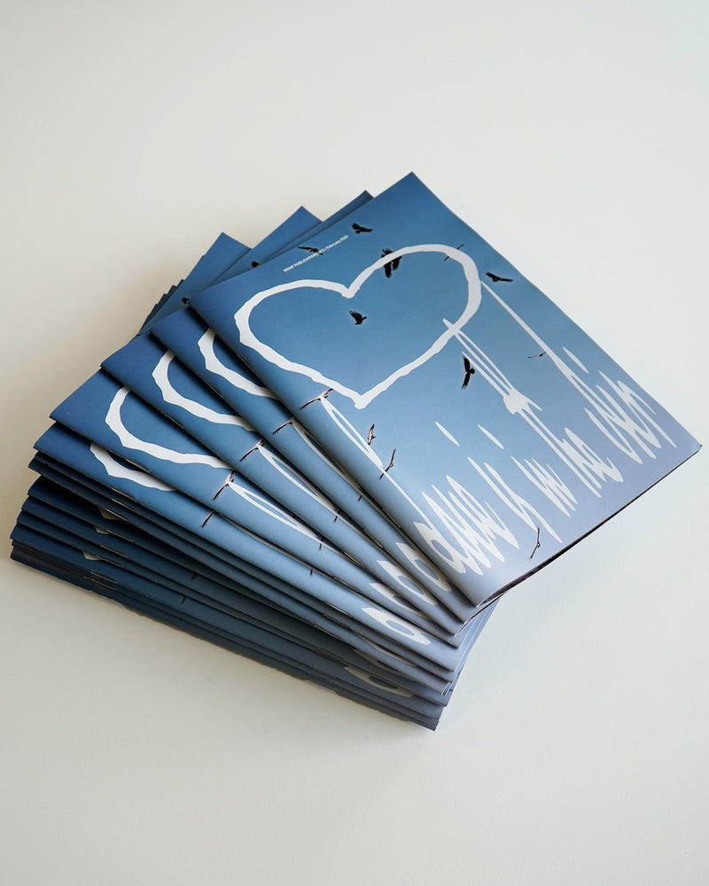 WANF Fanzine Issue 3 Vultures