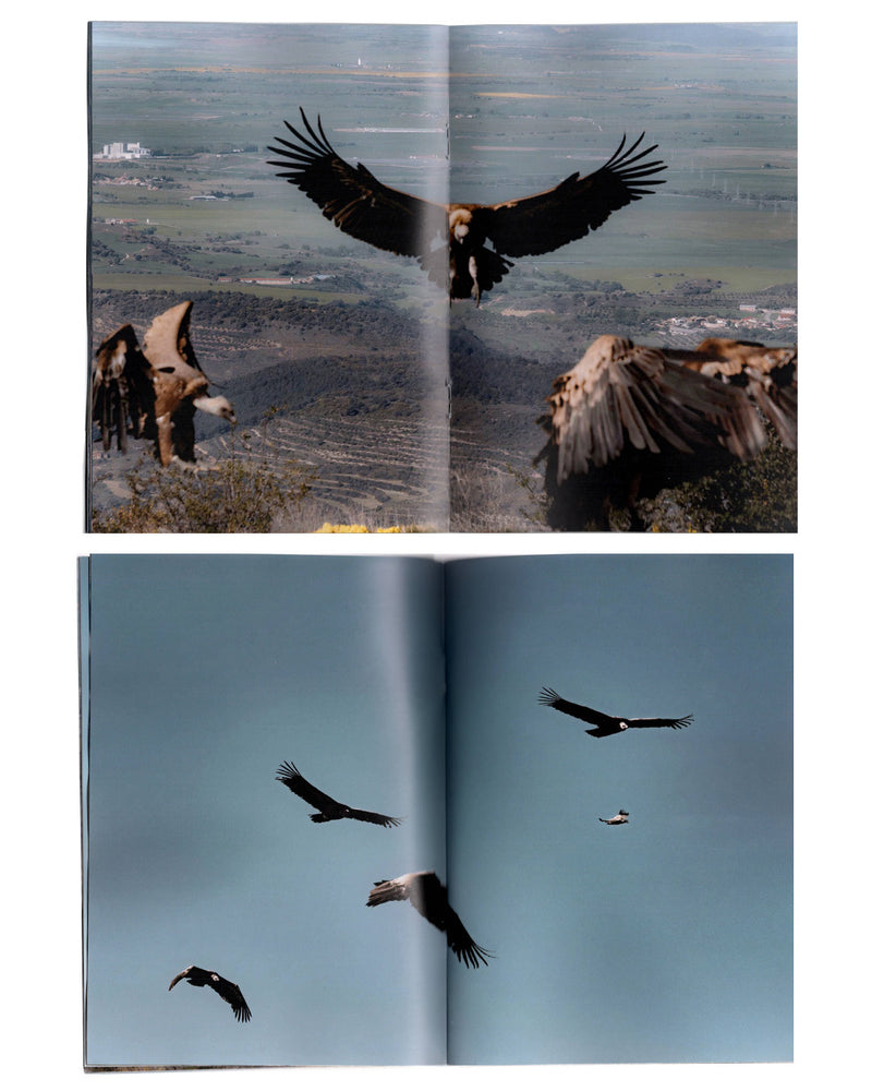 WANF Fanzine Issue 3 Vultures