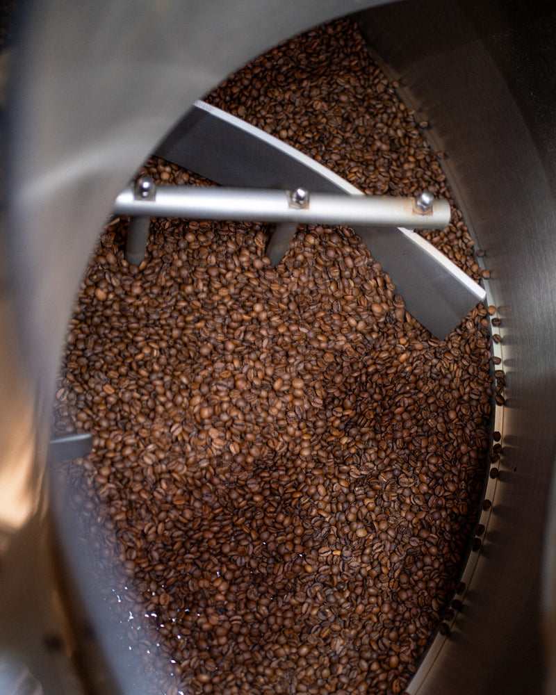 Speciality Coffee WANF x Hidden Coffee