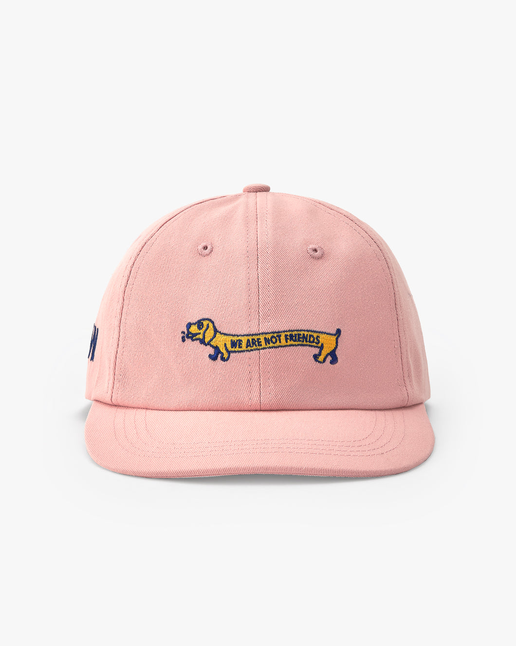 DOGGY HAT