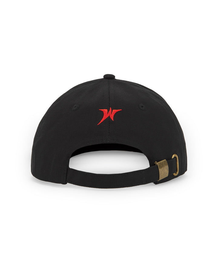 Drop Dad Hat